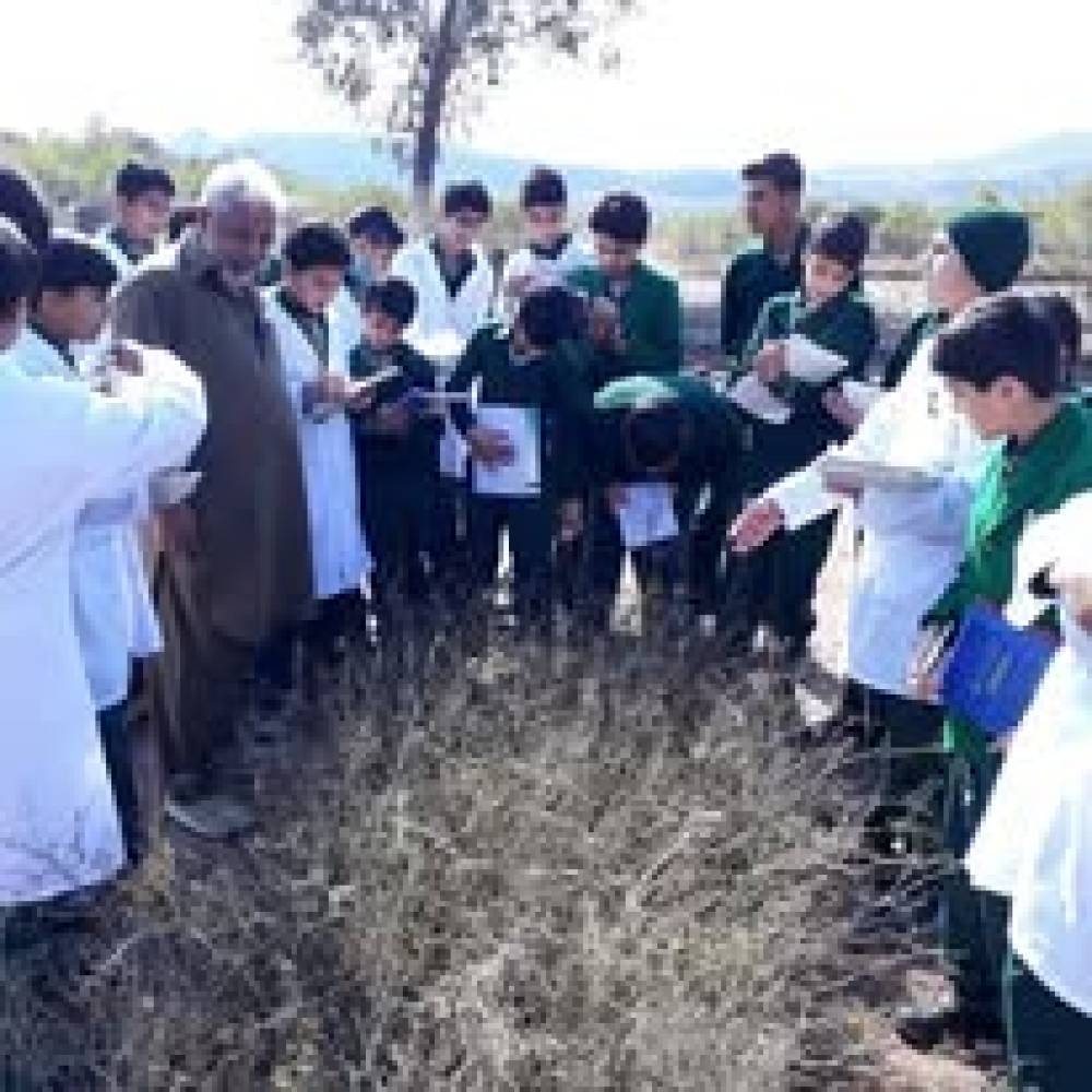 🌱✨ Exploring the World of Plants at Aim High School & Montessori! ✨🌱